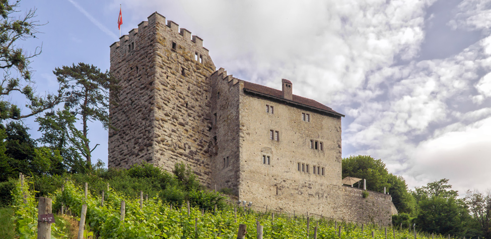 Burgen am Oberrhein