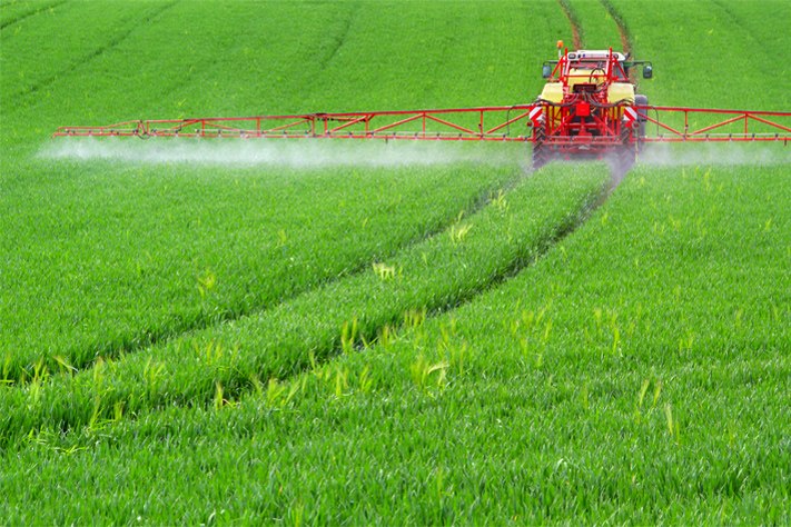 AGRO Form - Agrarökologie am Oberrhein