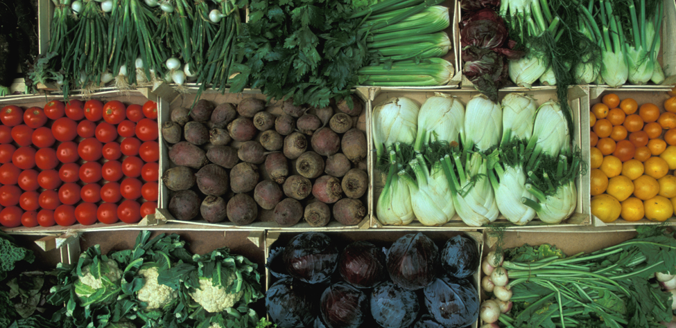 Upper Rhine Sustainable Food