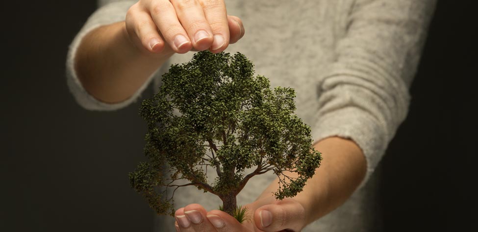 Économie et environnement du Rhin  Supérieur