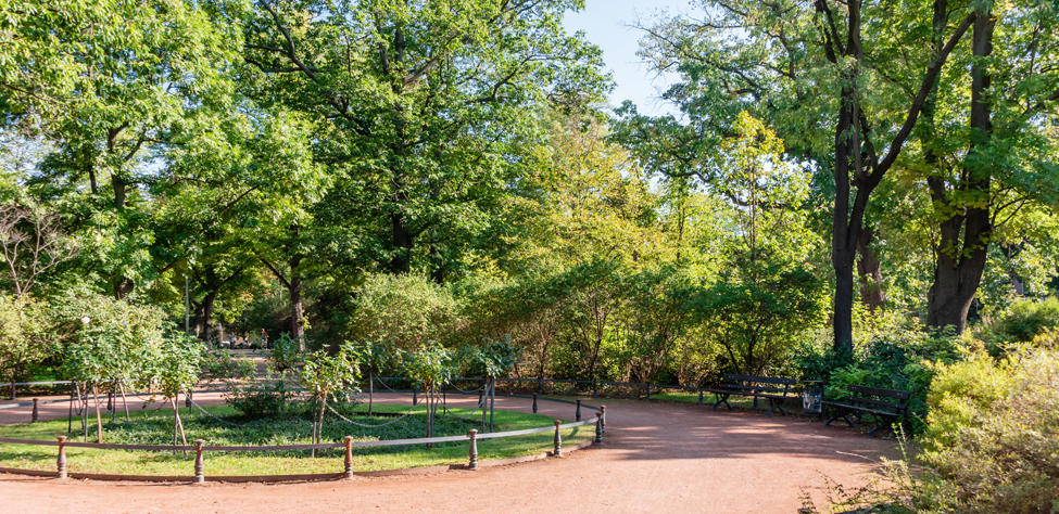Analyse comparative de la vitalité des arbres en milieu urbain et en environnement naturel