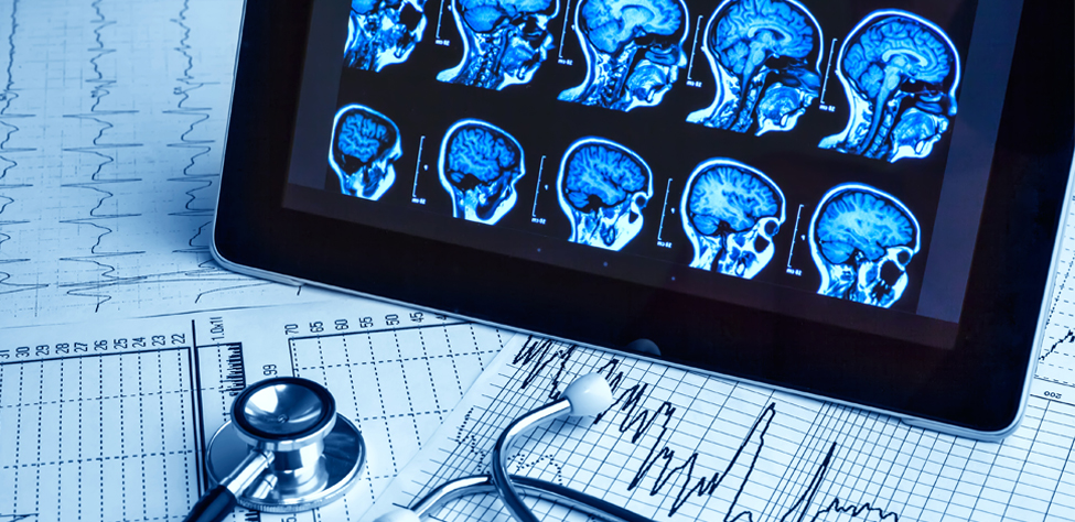 NeuroCampus trinational