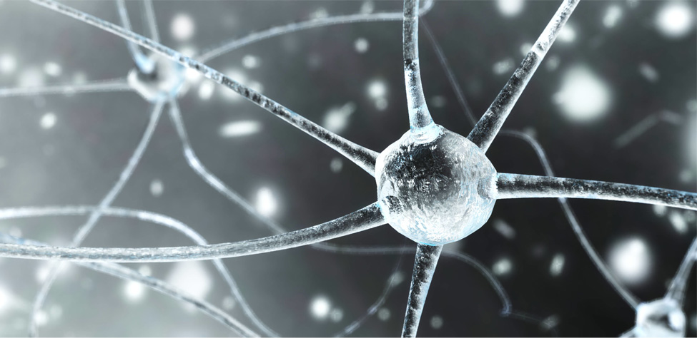 Interneuron