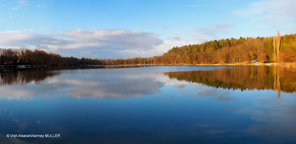 Aménagement écologique et touristique du Plan d’eau de Courtavon