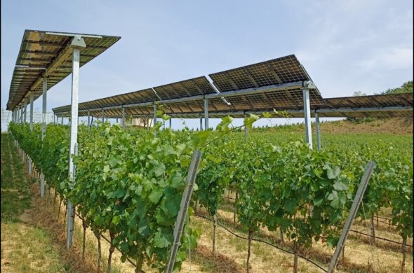 Agri-PV
